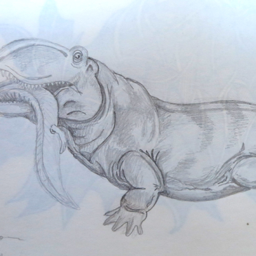 ophiacodon