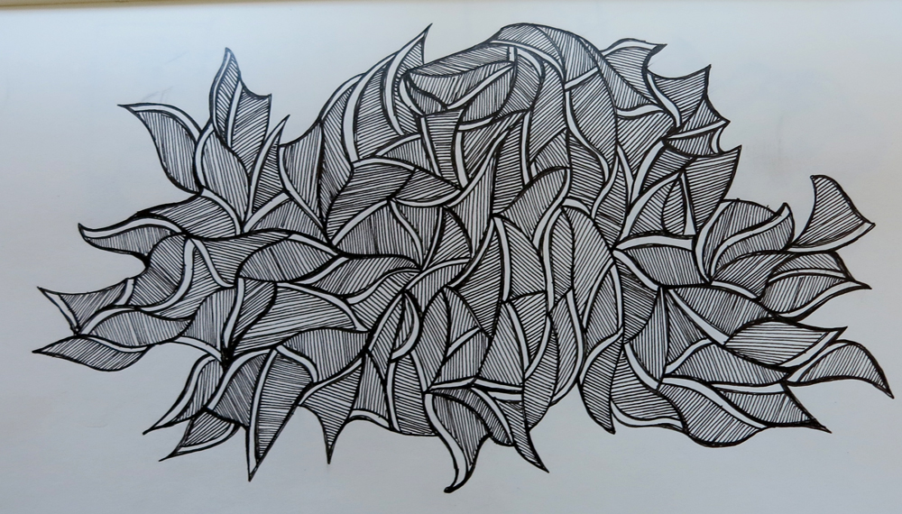 wings