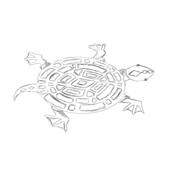 turtle